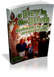 A Day in the Bush
