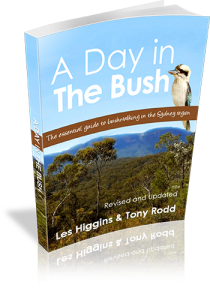 A Day in the Bush  Bushwalks in and around Sydney
